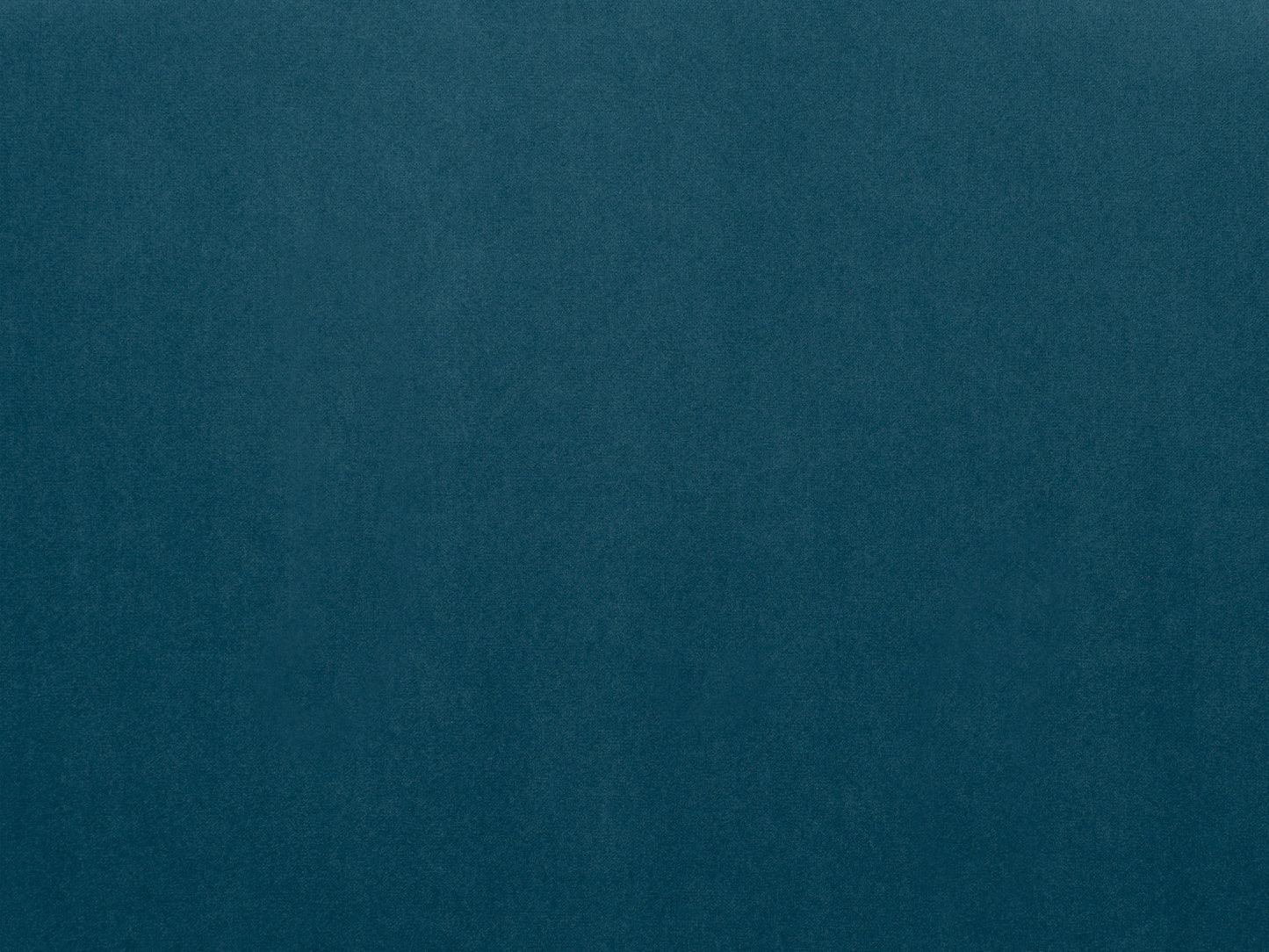 Blue velvet dining chair with plush upholstery, curved backrest, and sleek gold metal legs.