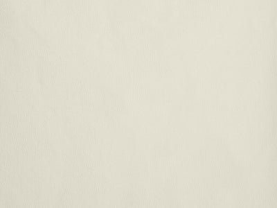 #color_leon-antique-white