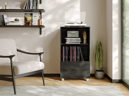 Sleek black media cabinet with open shelves, wooden frame, and modern minimalist design.
