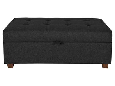 grey Large Storage Ottoman Collection product image by CorLiving#color_aubin-dark-grey