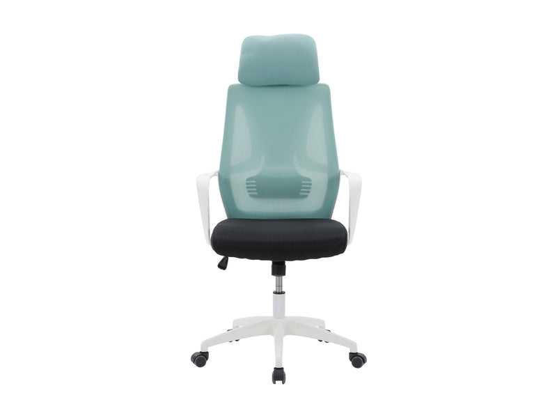 teal and black High Back Office Chair Ashton Collection product image by CorLiving